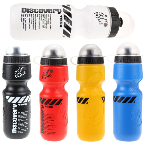 Portable Water Bottle (650ml)